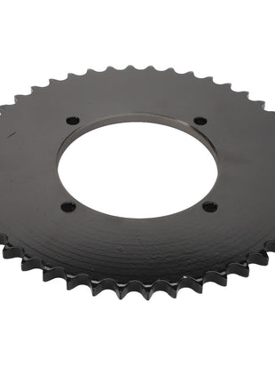 AGCO | SPROCKET - D28285470