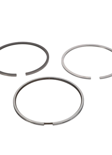 AGCO | Piston Ring, Kit - 3641316M91 - Farming Parts