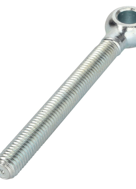 The AGCO | EYE BOLT - 0903-34-48-00 is a durable metal eye bolt featuring a threaded shaft and a robust circular loop at the end.