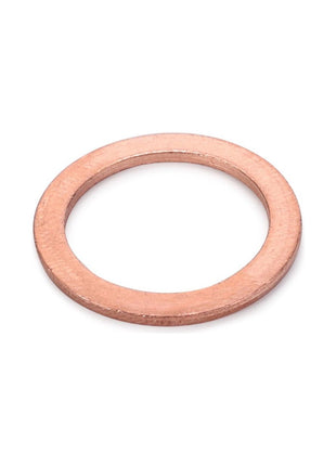 AGCO | Sealing Ring - 1442694X1 - Massey Tractor Parts