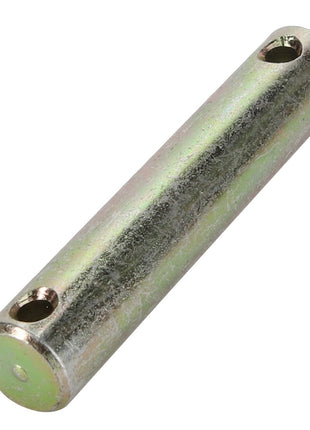 A cylindrical metal rod with a hole near each end is listed as AGCO | PIN - D28751095 from the brand AGCO, but currently has no additional product description available.