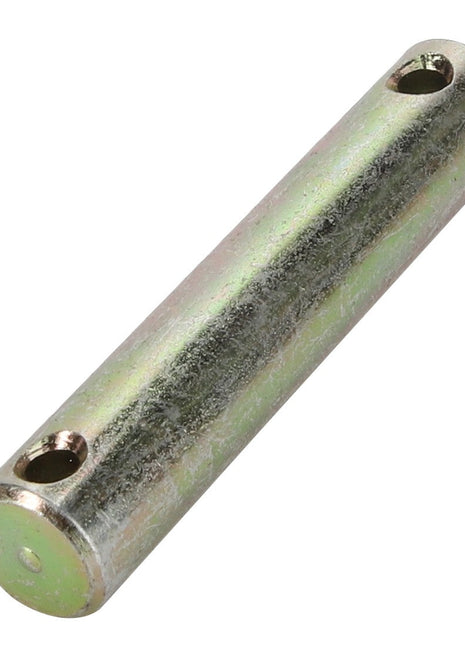A cylindrical metal rod with a hole near each end is listed as AGCO | PIN - D28751095 from the brand AGCO, but currently has no additional product description available.