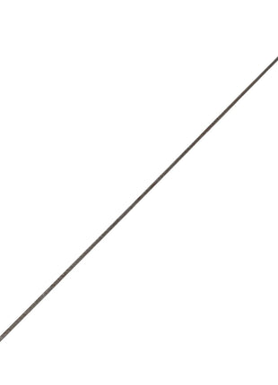 AGCO | LOCK RING - V30360400