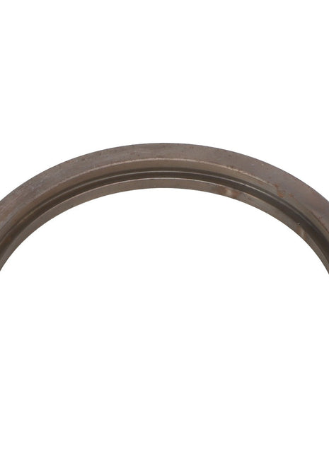 AGCO | RETAINING RING - AG058531