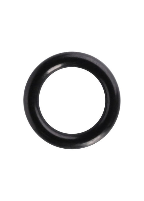 O Ring - F514940010060 - Massey Tractor Parts