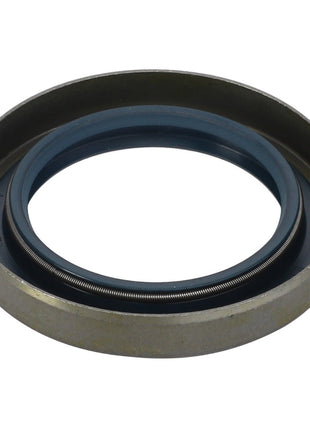 Close-up view of the AGCO Shaft Seal - F184100220050, featuring an inner blue sealing ring and spring, potentially used as an automotive or industrial oil seal. No current product description available.