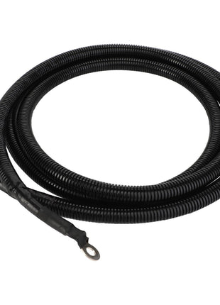 The AGCO | BATTERY CABLE - ACY1178890, a coiled, black, corrugated plastic conduit with eyelet connectors at both ends, lies against a stark white background.