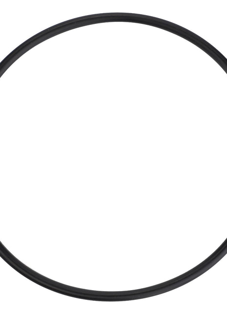 A high-quality black circular rubber O-ring from AGCO, specifically the AGCO | O-Ring, Rangebox Flange, Ø 79,50 X 3,00 Mm - 3005538X1, with a smooth surface is shown against a white background.