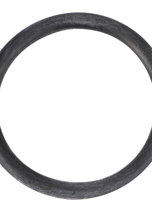AGCO | O-Ring - 70923649 - Massey Tractor Parts