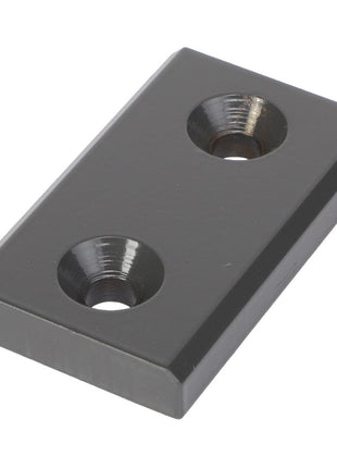 AGCO | WEAR PAD - AG239383