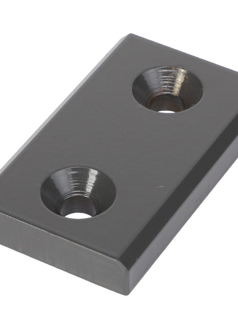 AGCO | WEAR PAD - AG239383