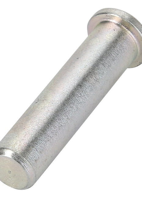 The AGCO hinge pin, model Acw2096290, is a metallic cylindrical pin featuring a flat head on one end. Currently, there is no additional product description information available.