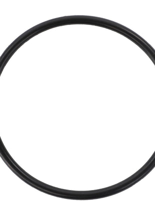 A solitary AGCO O Ring - D45466800, in black rubber, set against a pristine white background.