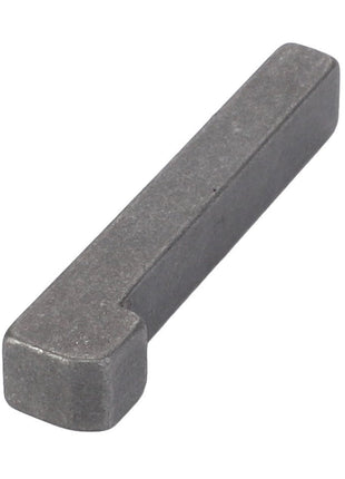 The AGCO GIB Key - D43155000 by AGCO is a metal rectangular key featuring one rounded end and a step notch near the other end, designed for mechanical purposes. Currently, no additional product description information is available.