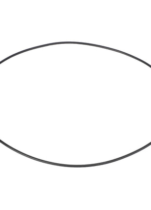 A sleek, thin AGCO O Ring - Fel109563 in black rubber set against a pristine white background.