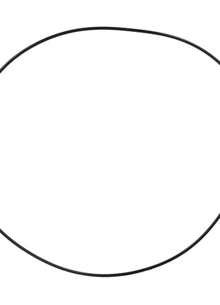 AGCO | O-Ring - Acp0491690 - Farming Parts