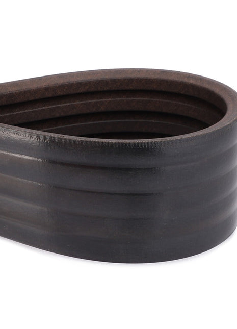 Close-up of the AGCO | BELT - D41978300, a black automotive serpentine belt, shown coiled with its grooved surface visible. No current product description information is available.