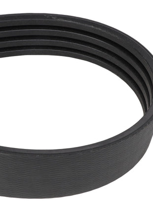 A close-up of the AGCO Main Drive Belt - Acw2077160, a multi-ribbed black serpentine belt typically used in automotive engines to drive multiple peripheral devices.