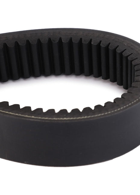 AGCO | Drive Belt, Variator - D41981000 - Massey Tractor Parts