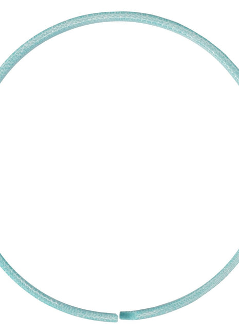 The AGCO Ring - Acp0313730 is a thin, light blue circular ring with a small gap, resembling a closed bracelet or bangle. Please note that there is currently no product description available.