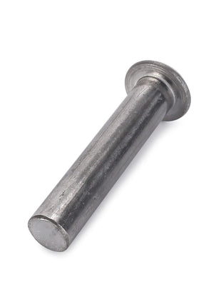 The AGCO | RIVET - D41377800 by AGCO showcases the intricacy of a close-up view of a metal cylindrical pin, featuring a flat rounded head and a smooth shaft.