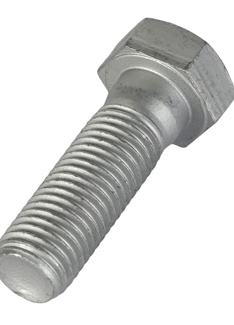 AGCO | Hexagonal Head Bolt - 3009132X1