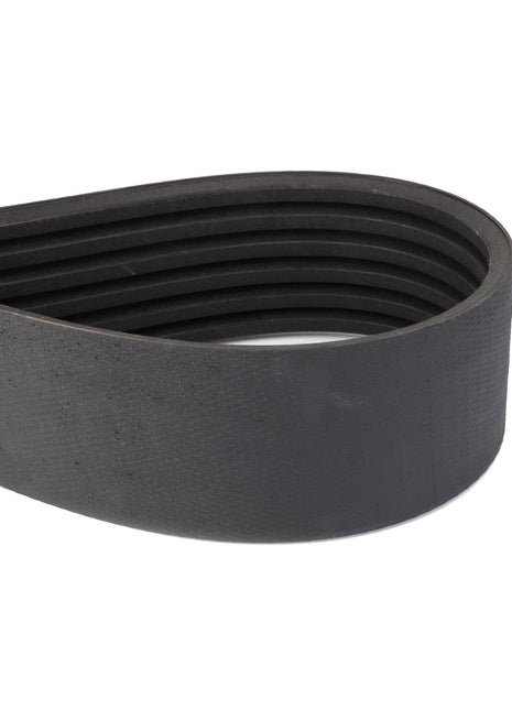 Image of the AGCO | BELT - D41990064, a black, ribbed serpentine belt commonly used in automotive engines for driving multiple peripheral devices. No current product description information is available.