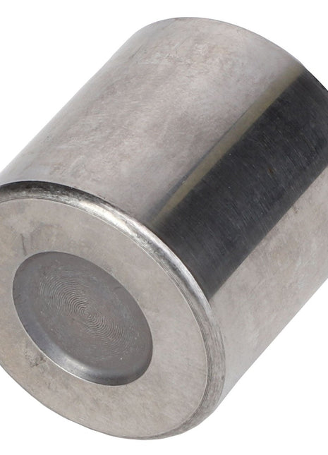 AGCO | CAM ROLLER - AG726304