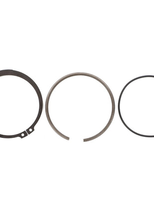 The AGCO | PARTS KIT - F931860030140, featuring three different types of circular retaining rings, is arranged in a row against a plain white background, with no current information available on their specifications.