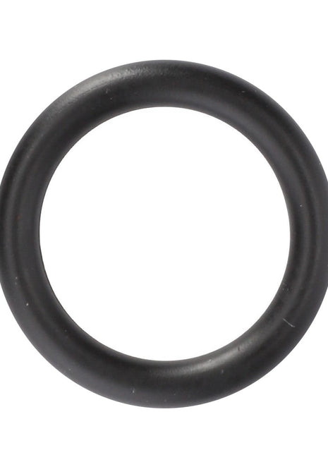 A black rubber AGCO O-Ring (F725200060090), circular in shape, against a white background. No current product description information is available.