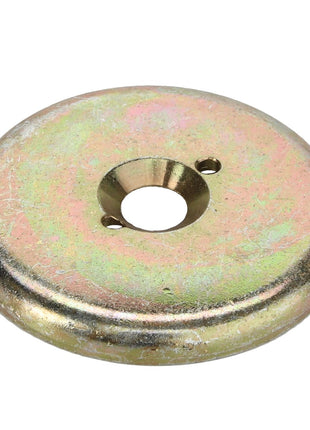 AGCO | BRAKE DISC - D28750915