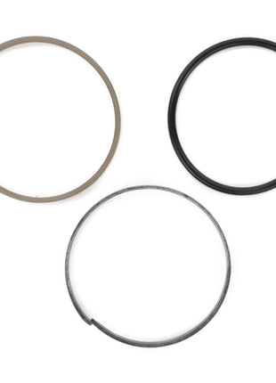 Three round sealing rings in various materials and colors, part of the AGCO SEAL KIT for the Hydraulic Lift Cylinder (F931860030060), are displayed side by side on a white background.