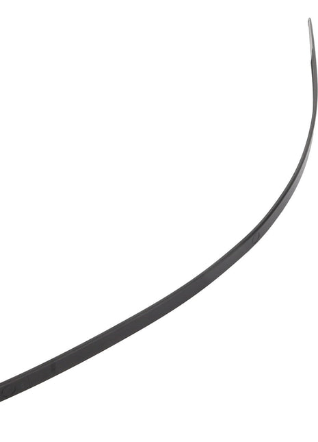 AGCO | CABLE TIE - D45066900