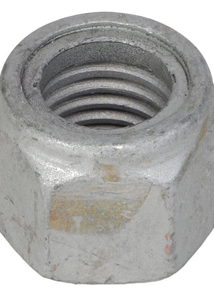 Close-up of an AGCO | HEX NUT - AG603864 with a threaded inner bore. No current product description information is available.