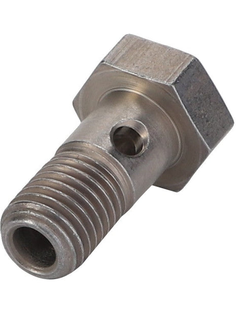 The AGCO Banjo Bolt - F395200710190 is a silver metal bolt with a hexagonal head, a threaded shaft, and a small hole running through the center of the shaft.