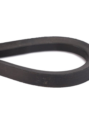 AGCO | Drive Belt, Stripper Beater - D41950400 - Massey Tractor Parts