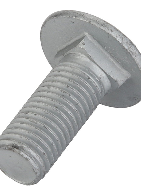 AGCO | Round Head Square Neck Carriage Bolt - Acw1513570 - Farming Parts
