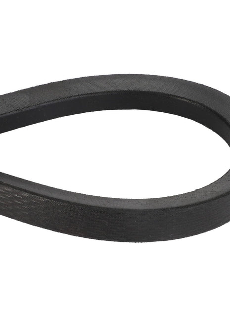 A close-up view of the AGCO | BELT - D41985900, a black rubber V-belt arranged in a loop against a white background.