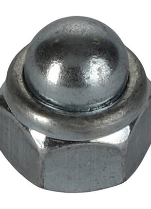 AGCO | NUT - AL5011910