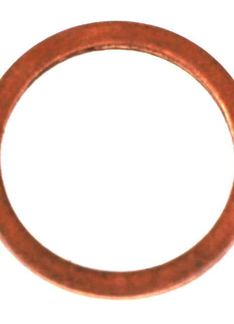 AGCO | Sealing Ring - 3007202X1 - Farming Parts