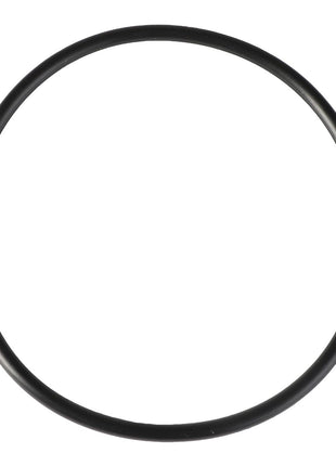 A black rubber O-ring gasket in a circular shape on a white background. Product: AGCO | O-Ring - Acp0360810 by AGCO. No additional product description available currently.