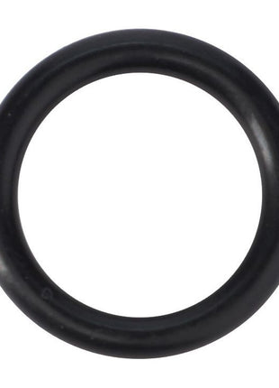 AGCO | O-Ring, Hydraulics - 70925081 - Massey Tractor Parts