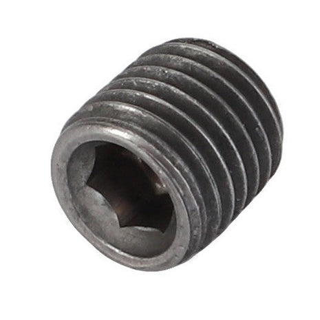 AGCO's Plug - 3005636X1 is a hex socket set screw featuring a precisely threaded cylindrical body.