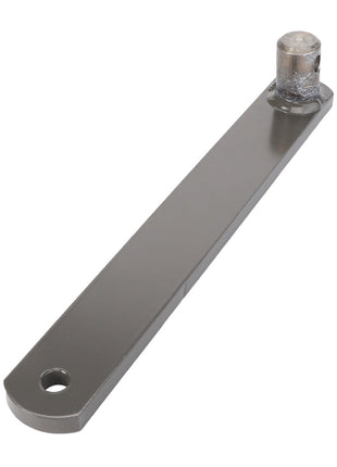 The AGCO | ARM - D28285198 is a metal lever featuring a cylindrical knob on one end and a hole on the opposite end, displayed against a white background. No current product description information provided.