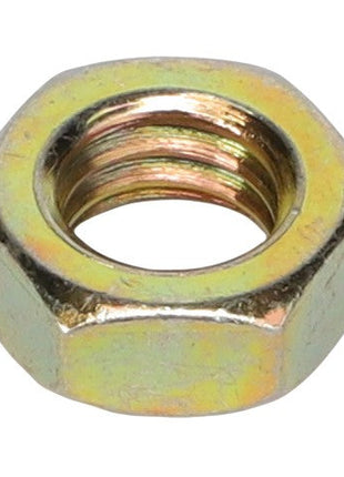 AGCO | HEX JAM NUT - AG561659