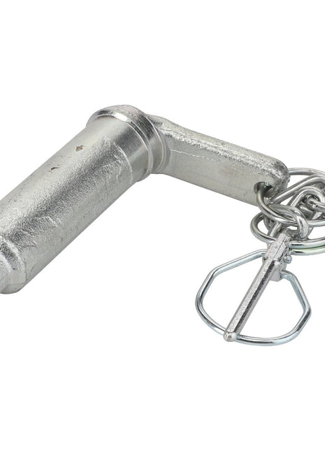 AGCO | Pin And Chain - Acp0384820 - Farming Parts