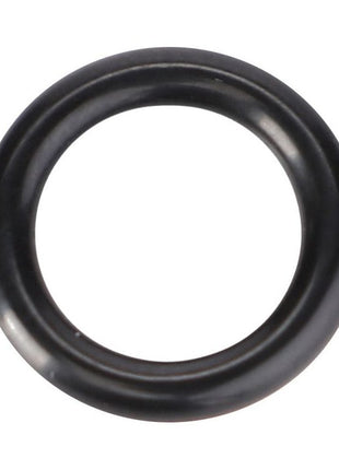 AGCO | O-Ring, Housing, Ø 9,3 X 2,4 Mm - X548823666000 - Massey Tractor Parts