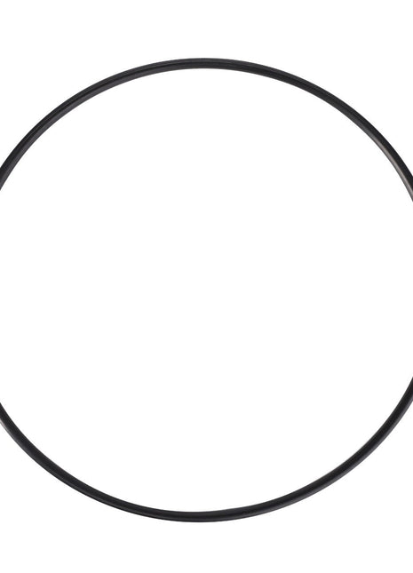 AGCO | O-RING - F931941100020