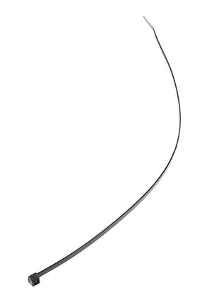 A single, long AGCO Panduit Strap - Acp0010240 (black cable tie) isolated on a white background. No current product description available.