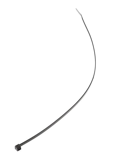A single, long AGCO Panduit Strap - Acp0010240 (black cable tie) isolated on a white background. No current product description available.
